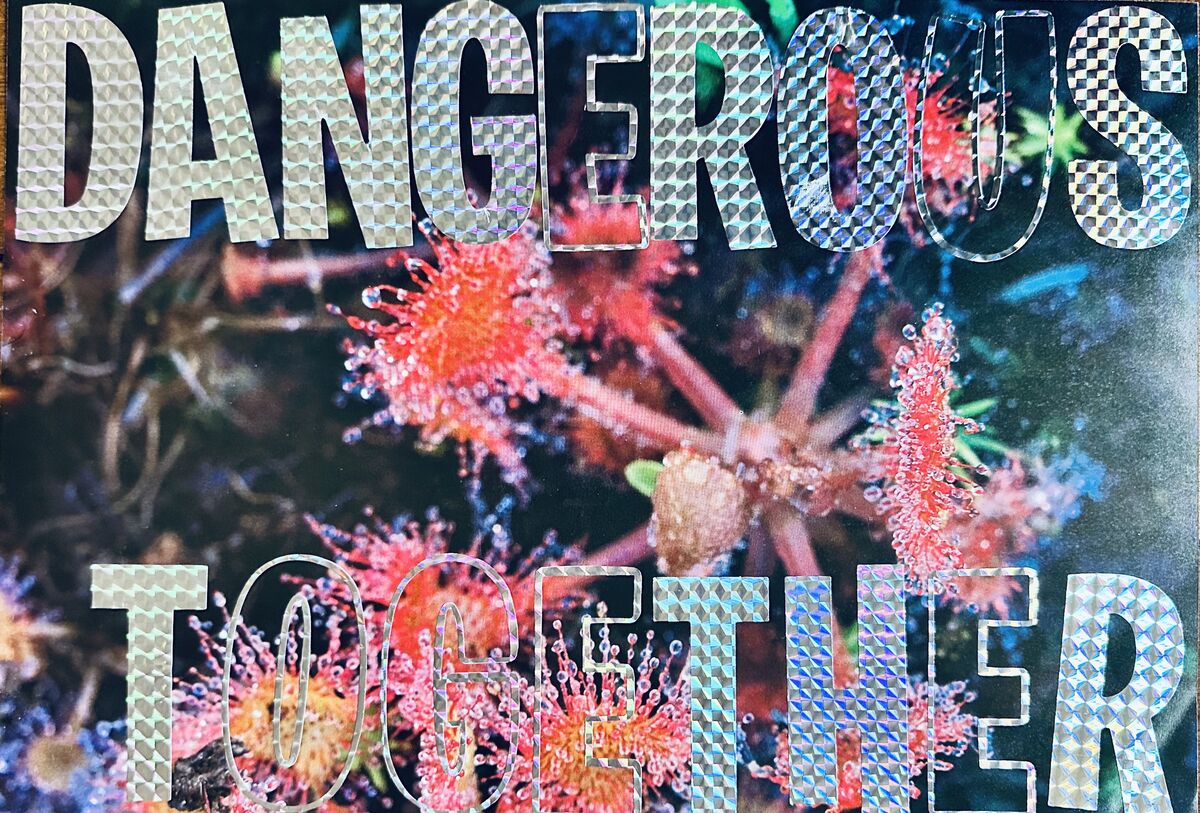 If You Want to Sing Out, Sing Out, image 3 of 9